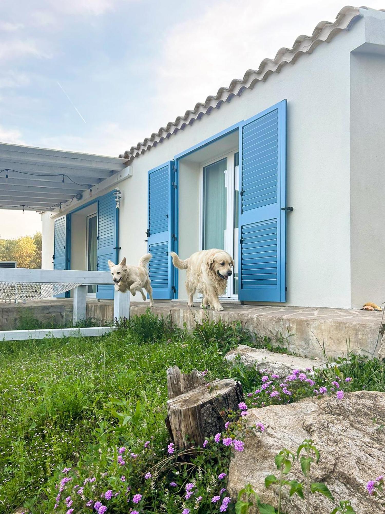 La Casa Di Alice Turchese *